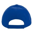 Banks baseball sapka